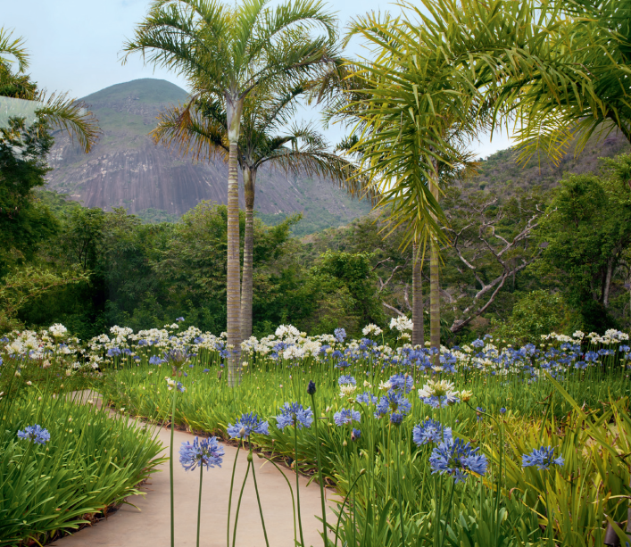 <span>O Projeto El, de Daniela Infante, é o vencedor da categoria Paisagismo. A paisagista participou da CASACOR Rio de Janeiro 2016</span>