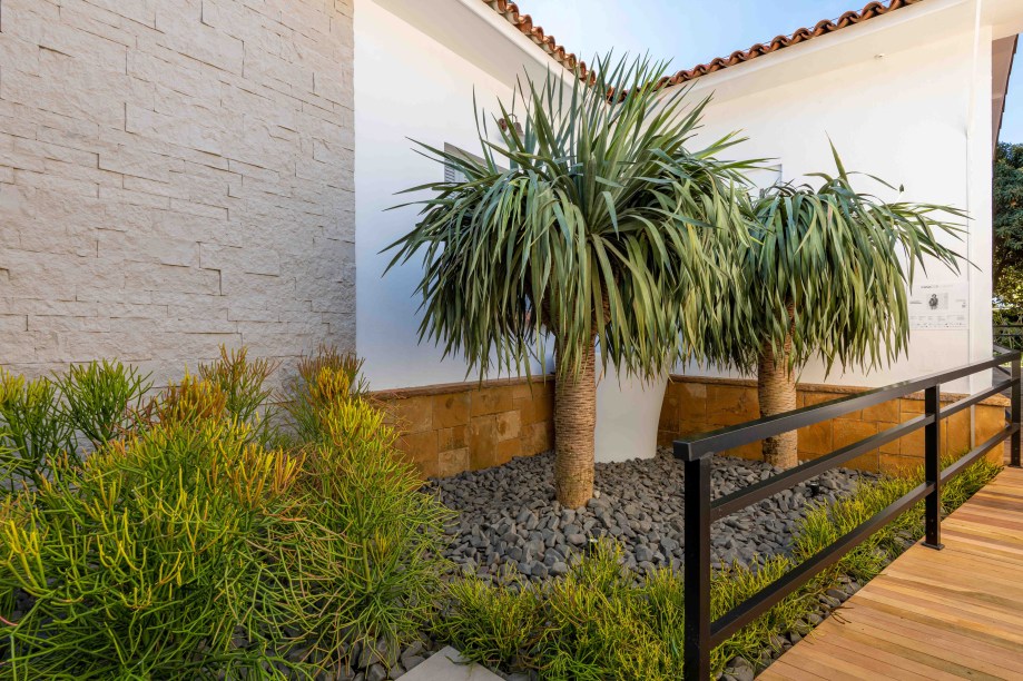 CASACOR São Paulo 2019. Jardim dos Dragoeiros - Zanardo Paisagismo. Estreante, Luciano Zanardo chega com o Jardim dos Dragoeiros. O espaço traz o conceito do Xeropaisagismo (plantas que exigem pouca água e têm alta resistência a ventos fortes e doenças) e a valorização das espécies brasileiras. Com 100m., o jardim revela um mix de formas e tons para estimular as sensações dos visitantantes. Entre as muitas espécies destacadas está a Dracaena Draco, conhecida popularmente como “dragoeiro”, que dá nome ao espaço. O ambiente conta ainda com espelho d'água, deck em madeira e iluminação especial para evidenciar o paisagismo.