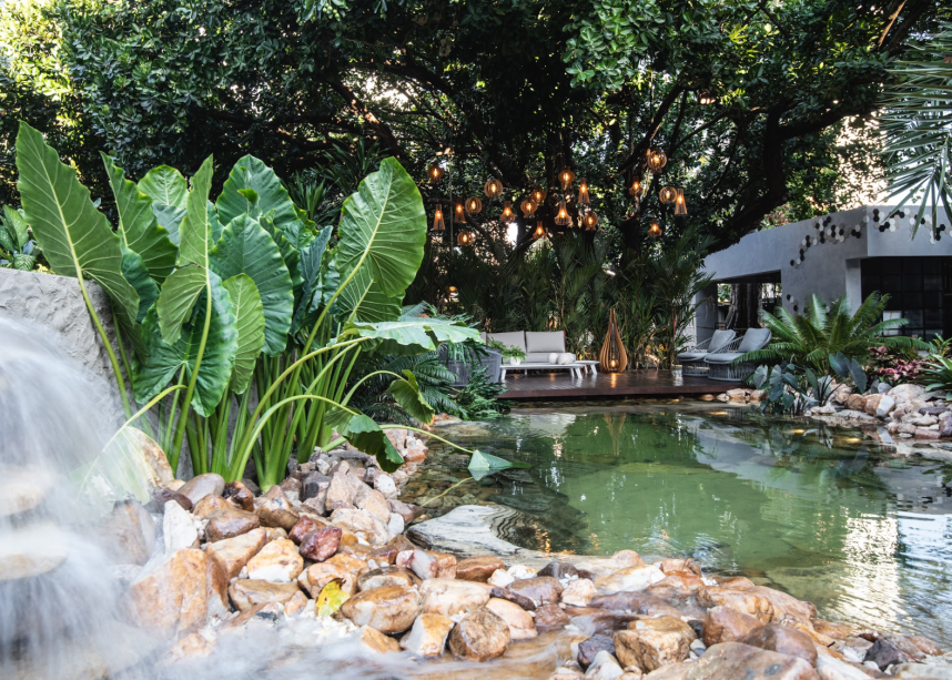 CASACOR Ceará 2019. Oásis tropical - Thiago Borges. O contato com a natureza é o ponto-chave do ambiente, que tem como elemento principal a piscina natural. Desenvolvida a partir de uma filtragem especial, que gera uma água 100% transparente e sem aditivos químicos, a atração funciona como um lago, permitindo que as pessoas tomem banho e interajam com peixes e plantas aquáticas. Dividida em três níveis, a piscina conta com queda d'água, área exclusiva para plantas e a parte de banho.