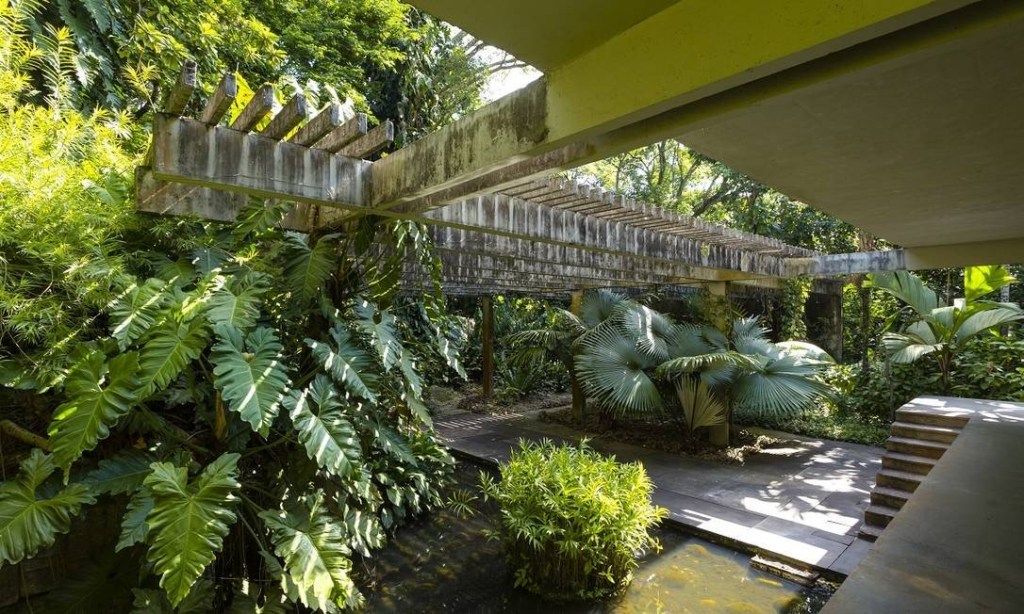 burle marx sitio roberto burle marx paisagismo noticia reabertura vegetação rio de janeiro