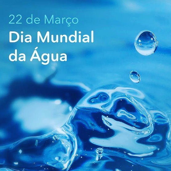 dia da agua