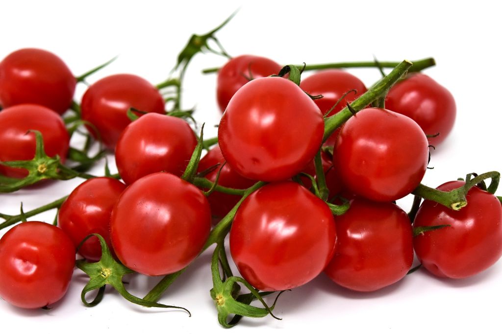 tomate-cereja pode ser cultivado em casa