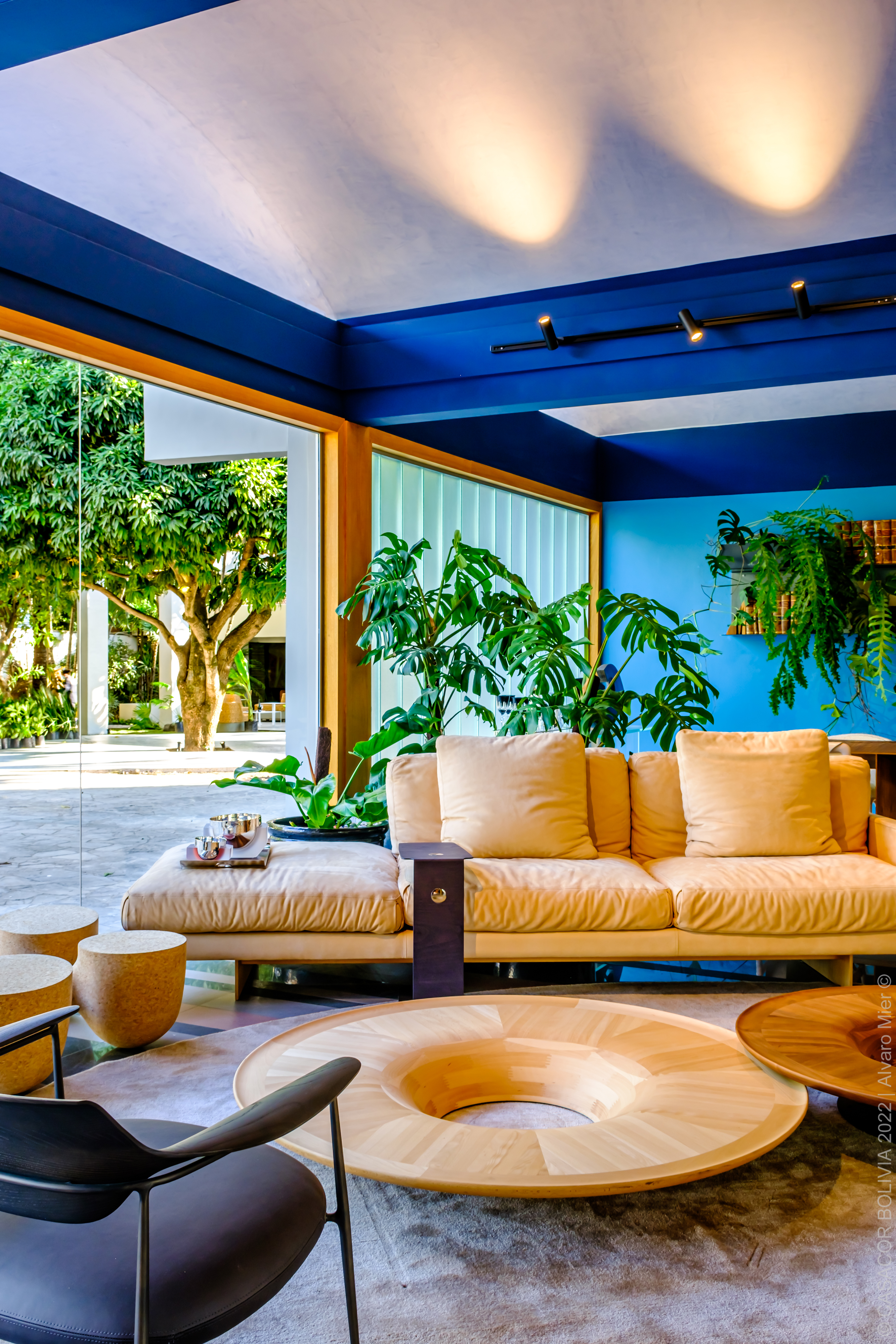 Alma Camba, por Juan Carlos Menacho- CASACOR Bol&iacute;via 2022