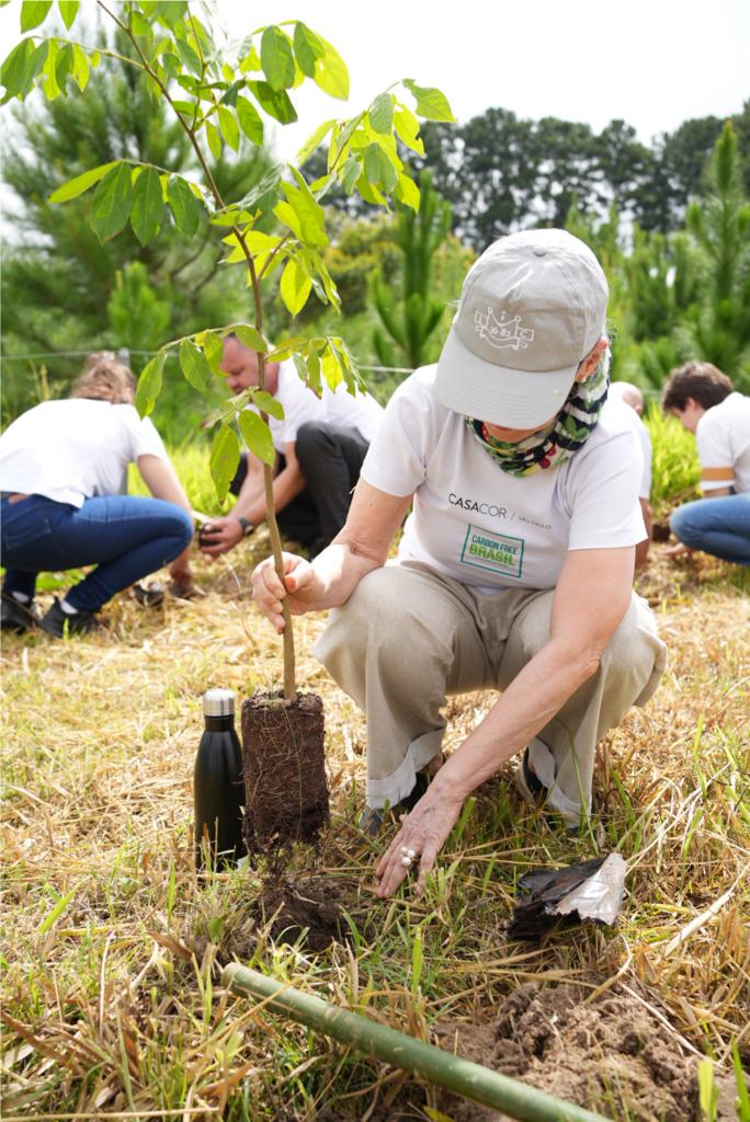 CASACOR + Carbon Free Brasil realiza compensação de carbono com plantio de 1.087 árvores