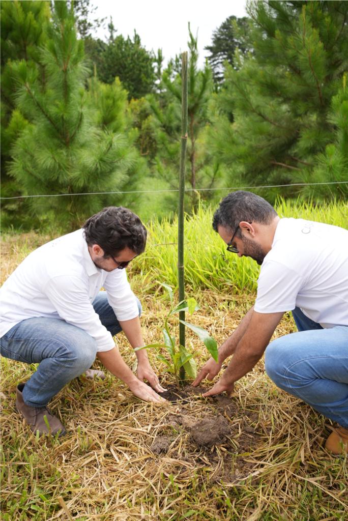 CASACOR + Carbon Free Brasil realiza compensação de carbono com plantio de 1.087 árvores