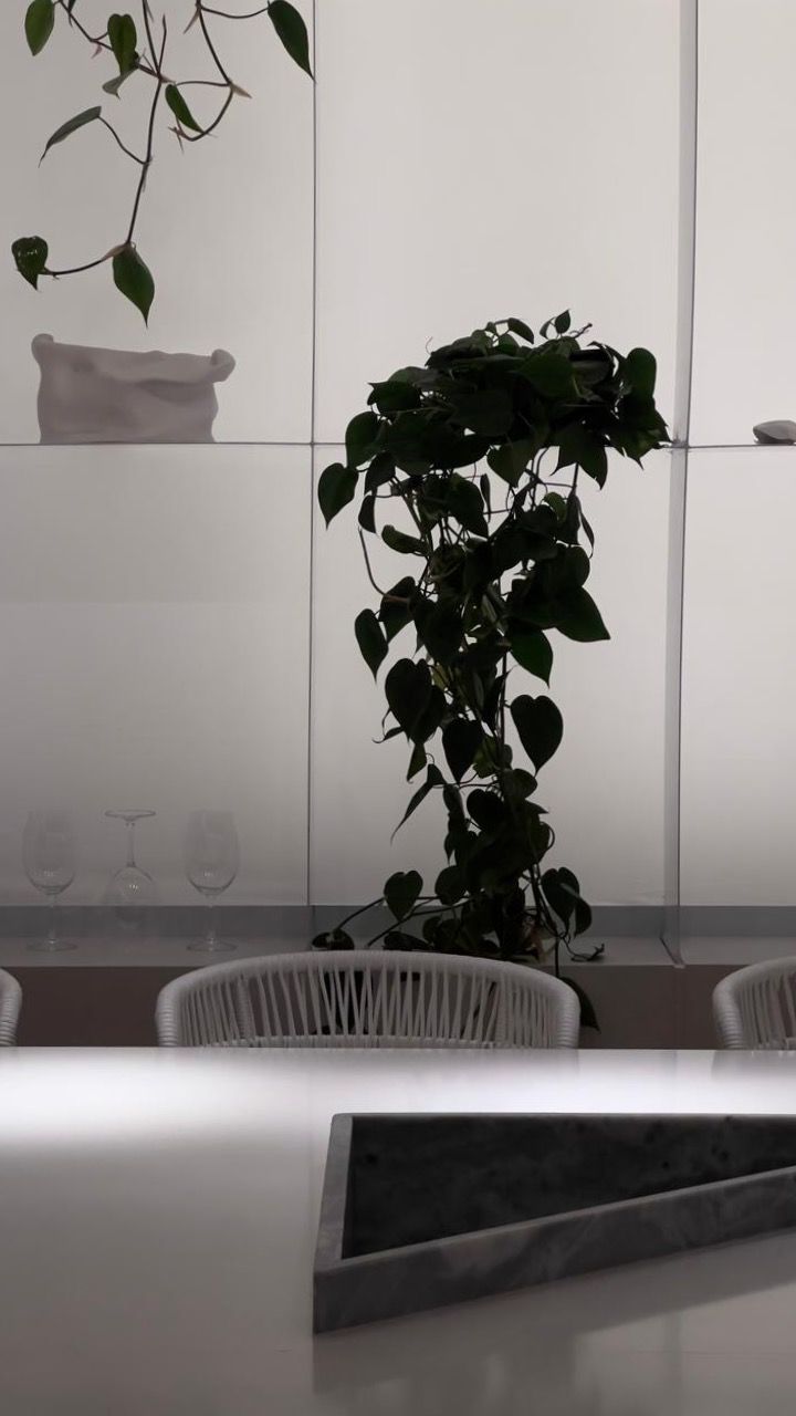 Spoiler CASACOR SC Florian&oacute;polis 2023