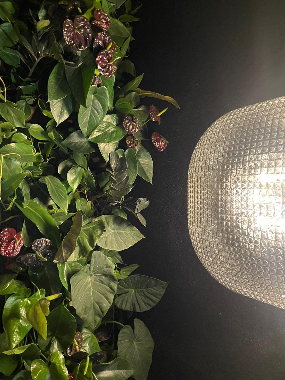 Spoiler CASACOR SC Florian&oacute;polis 2023