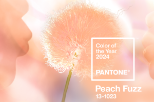 Cor Pantone 2024- Peach Fuzz